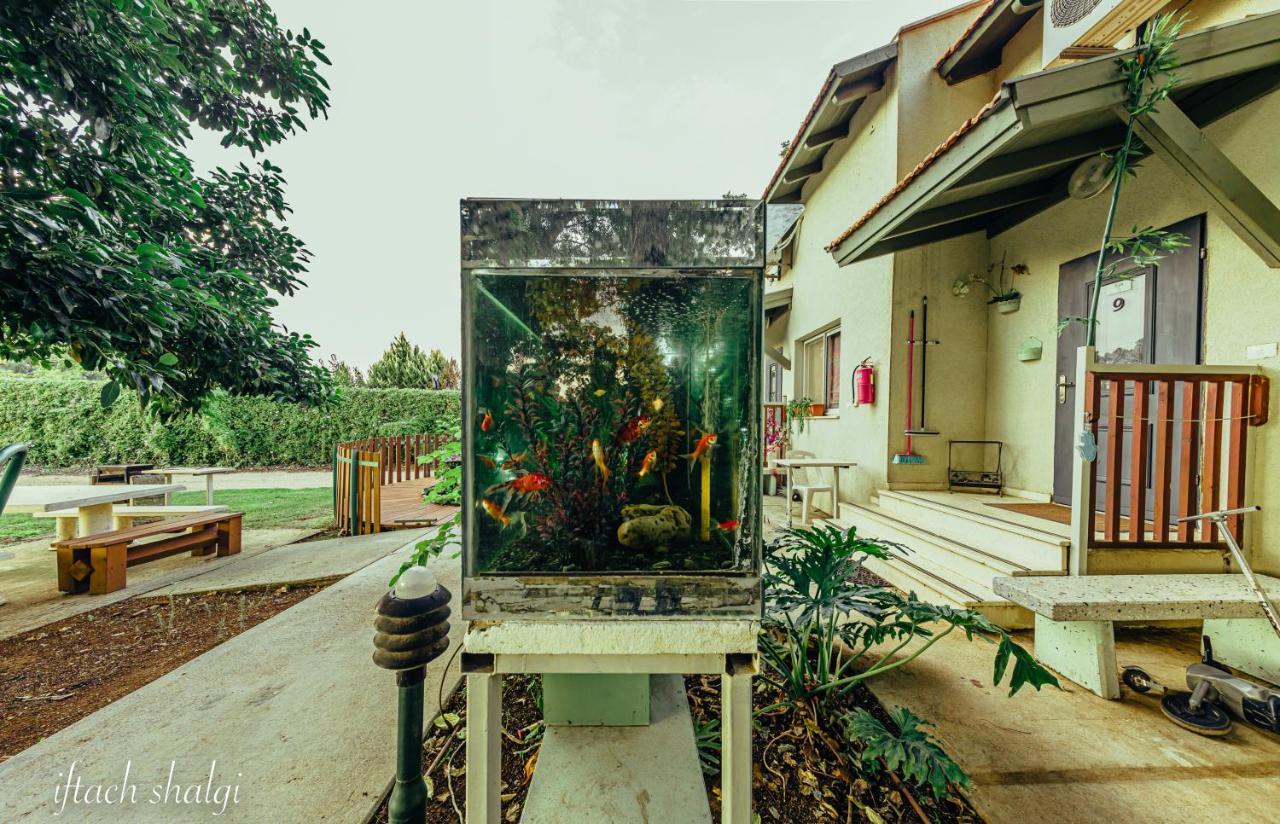 Nuriel Fruit & Guest House Sheʼar Yashuv 외부 사진