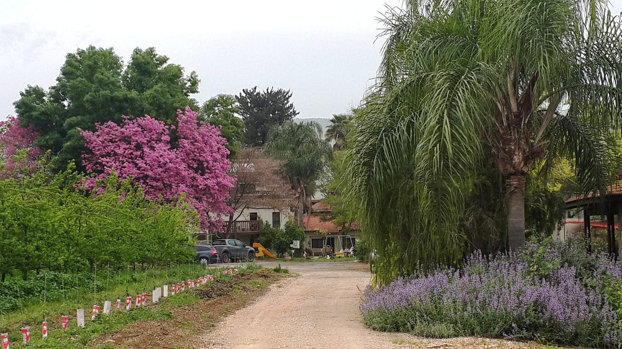 Nuriel Fruit & Guest House Sheʼar Yashuv 외부 사진